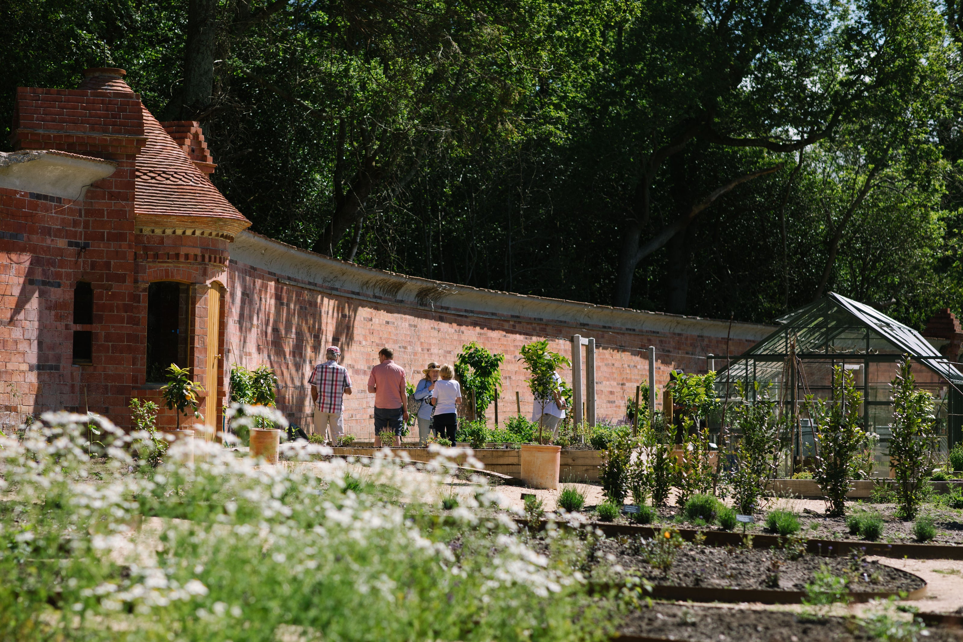 The roundhouse potting shed and greenhouse at Careys featuring the tea garden, and citrus trees