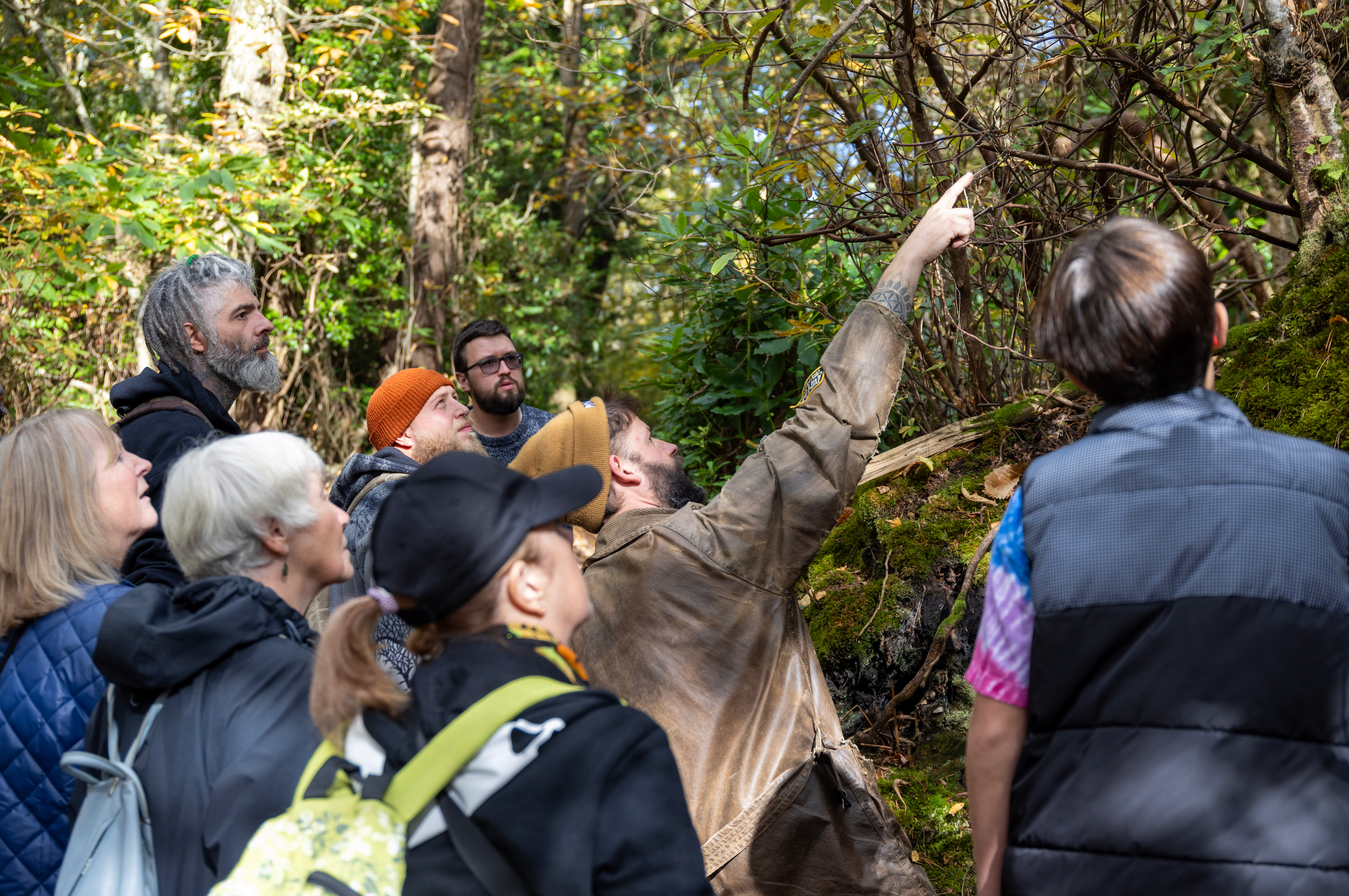 Andy Knott leading a mushroom foray at Carey’s, guiding participants through the garden to identify and learn about various fungi species in a hands-on, educational experience.