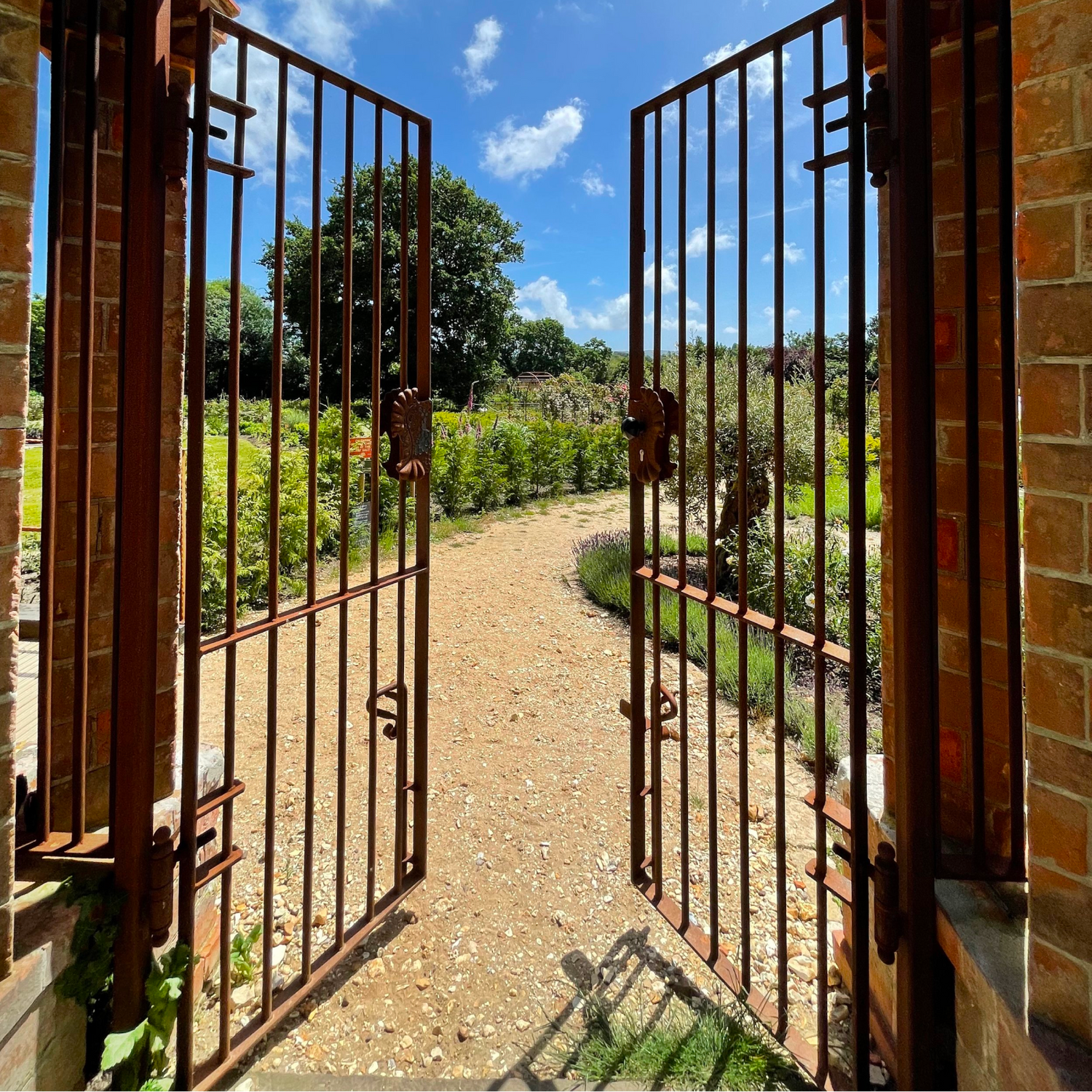 The gates to Carey’s Secret Garden, open to reveal a stunning garden beyond, with vibrant greenery and a peaceful atmosphere inviting visitors to explore and enjoy nature