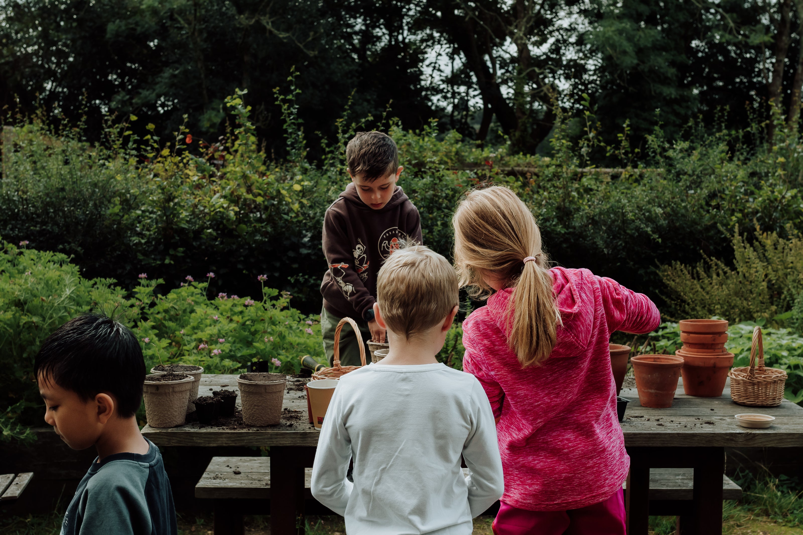 Four children potting plants at Carey’s Secret Garden, working together in the garden to plant and care for seedlings, enjoying a hands-on nature experience