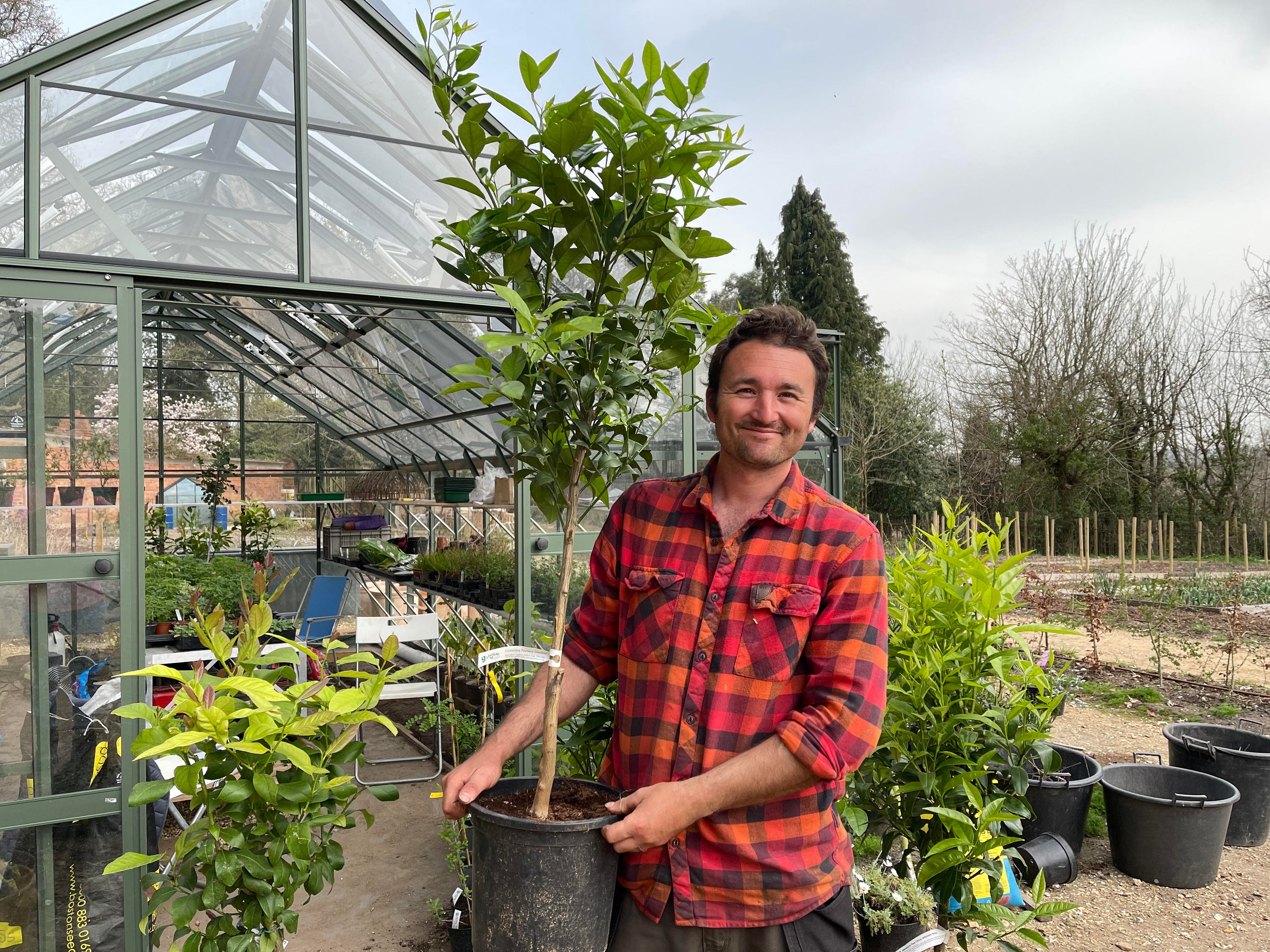 Image of Dan the Garden Designer at Careys Secret Garden, standing in front of the greenhouse holding a new citrus tree 