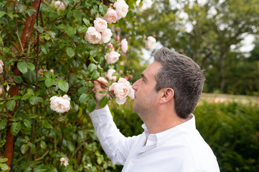 Introduction to Perfumery Workshop Friday 11th July 2025