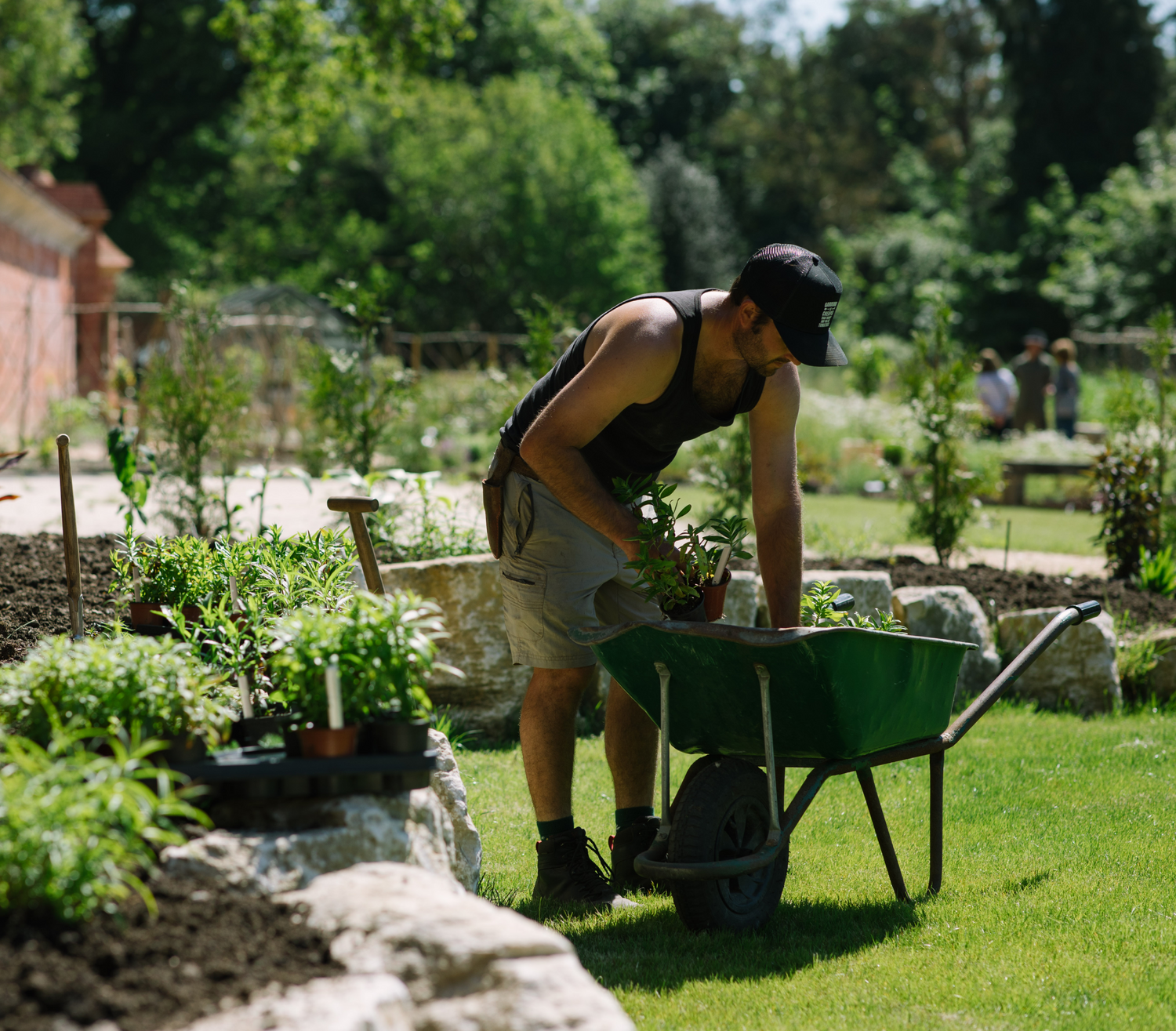 Gardener planting at Carey’s Secret Garden in the sunshine, tending to the vibrant plants and creating a beautiful, flourishing landscape under the warm, clear sky