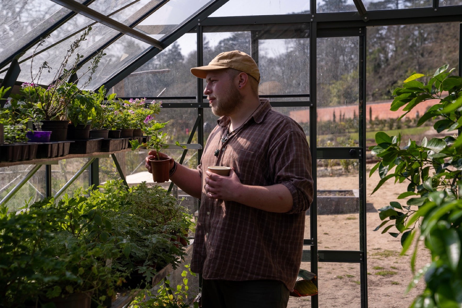 Photo of Dom the Gardener taking care of the plants in the greenhouse at Careys Secret Garden