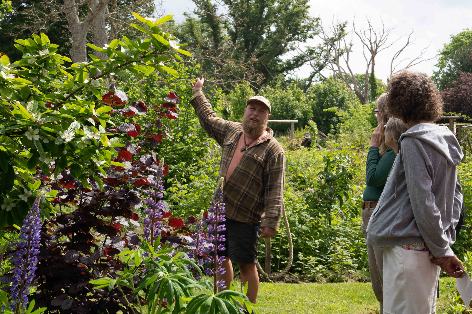 Gardening team giving a guided tour of Carey’s Secret Garden, sharing expert insights and showcasing the garden’s beauty and diverse plant life to an engaged group of visitors.