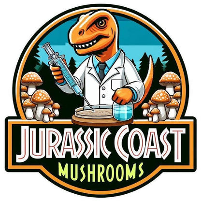 Jurassic Coast Mushrooms logo featuring vibrant colours and a dinosaur illustration