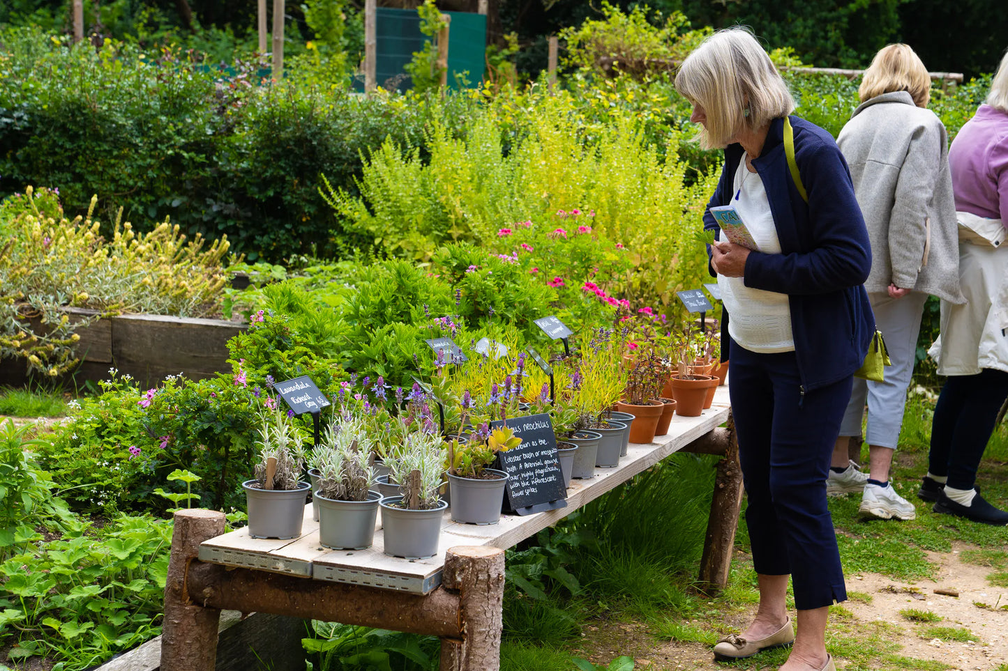 Woman shopping for plants at Carey’s on Mother's Day, browsing the selection of vibrant plants for sale in a beautiful, nature-filled garden setting