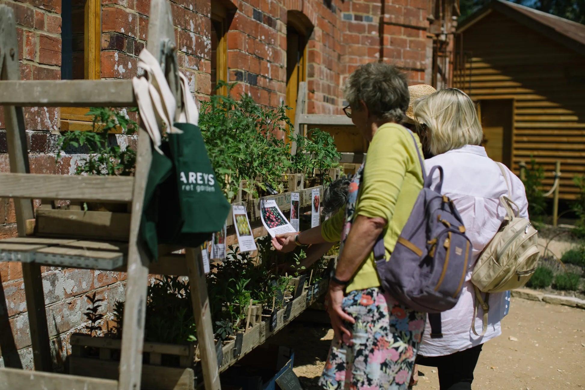 Visitors shopping for plants outside the coffee shop at Carey’s Secret Garden on a sunny day, enjoying the vibrant selection of plants in the outdoor retail area