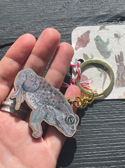 Natterjack Toad Wooden Keyring by Viv Hughes