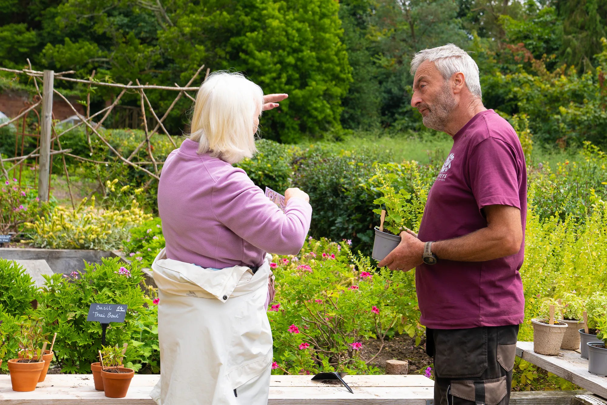 Image of the head gardener talking to visitors during an open day. The team have lots of plant knowledge to share. 