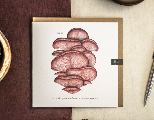 Pink Oyster Mushroom Card by Moss and Morcella