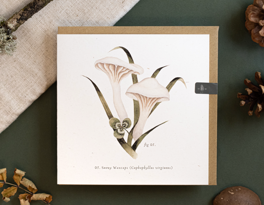 Snowy Waxcaps Card by Moss and Morcella