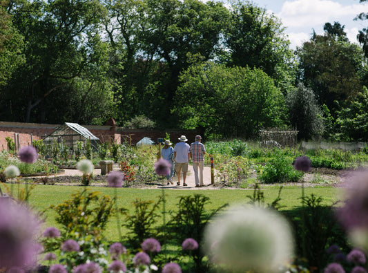 Visitors enjoying Carey’s Secret Garden on a sunny summer day, strolling through lush greenery, relaxing in the vibrant garden, and soaking in the peaceful atmosphere.