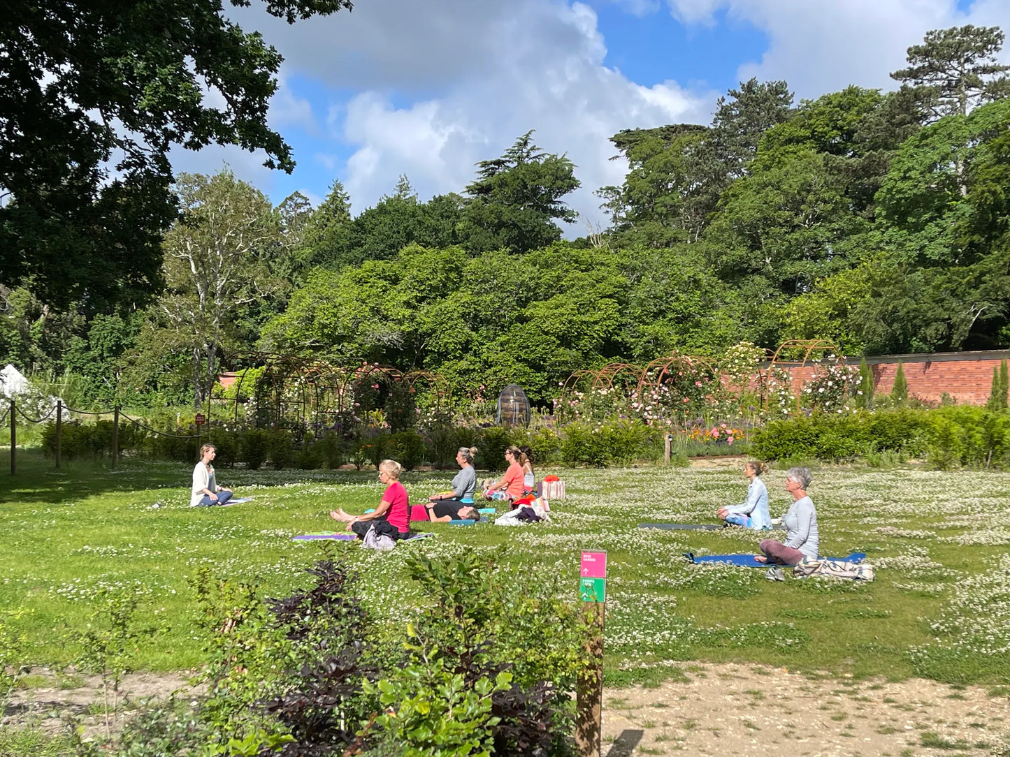 Women’s yoga class at Carey’s, with participants practicing poses outdoors, surrounded by nature and peaceful ambiance