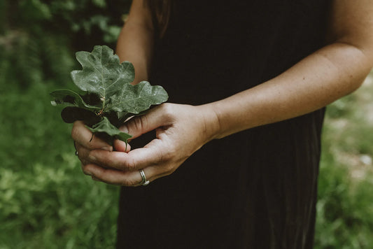 Forest bathing session at Carey’s, hosted by Lindsey, with participants immersed in nature, enjoying a calming, mindful experience surrounded by the woodland environment